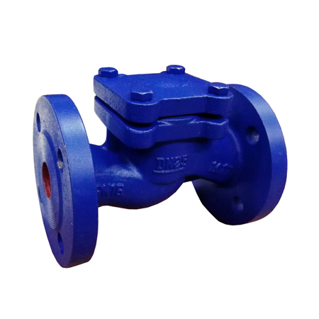 Клапан обратный АСТА ОК01 DN025 подъемный АСТА  по лучшей цене с доставкой - интернет-магазин Прогрессивные решения