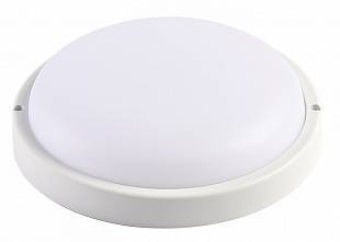 Купить NEWLED.SF-Eco-D260.24.120.4K.IP65 NEWLED по лучшей цене с доставкой - интернет-магазин Прогрессивные решения
