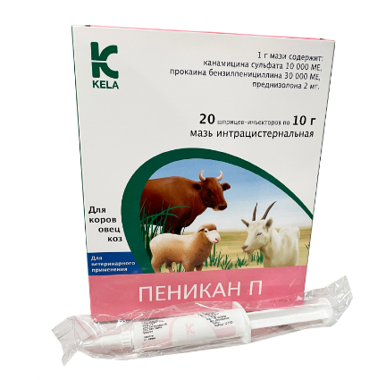 Пеникан П 10 гр. №20 Прогрессивные решения  по лучшей цене с доставкой - интернет-магазин Прогрессивные решения